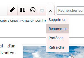 Fichier:Wikirouge renommer page.png