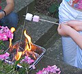 Un barbecue jetable