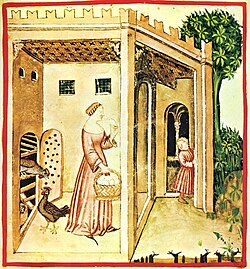 Extrait du Tacuinum Sanitatis, 14e s.