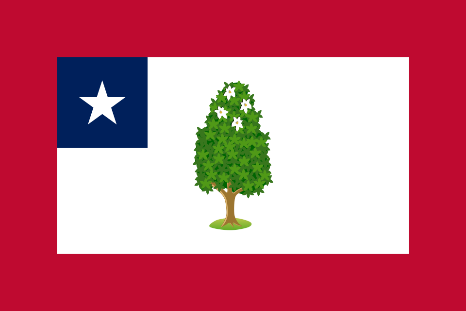 Fichier:Flag of Mississippi (1861-1865).svg