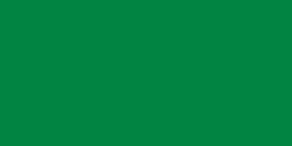 Fichier:Flag of Libya (1977-2011).svg
