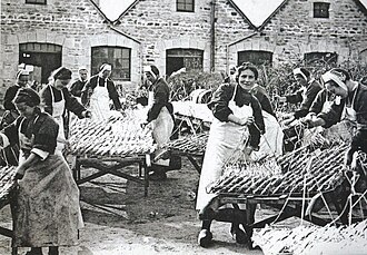 La conserverie]] de poissons Vallière à Loctudy (France), 1906.