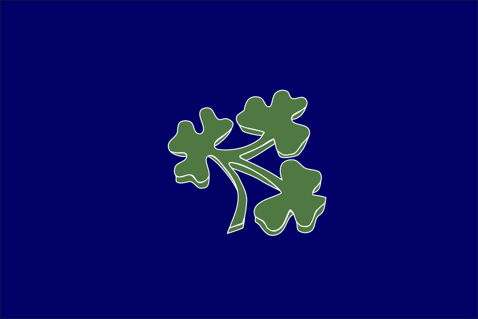 Fichier:Cricket Ireland flag.svg