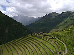 Cultures en terrasse inca (Pérou, ~1450)