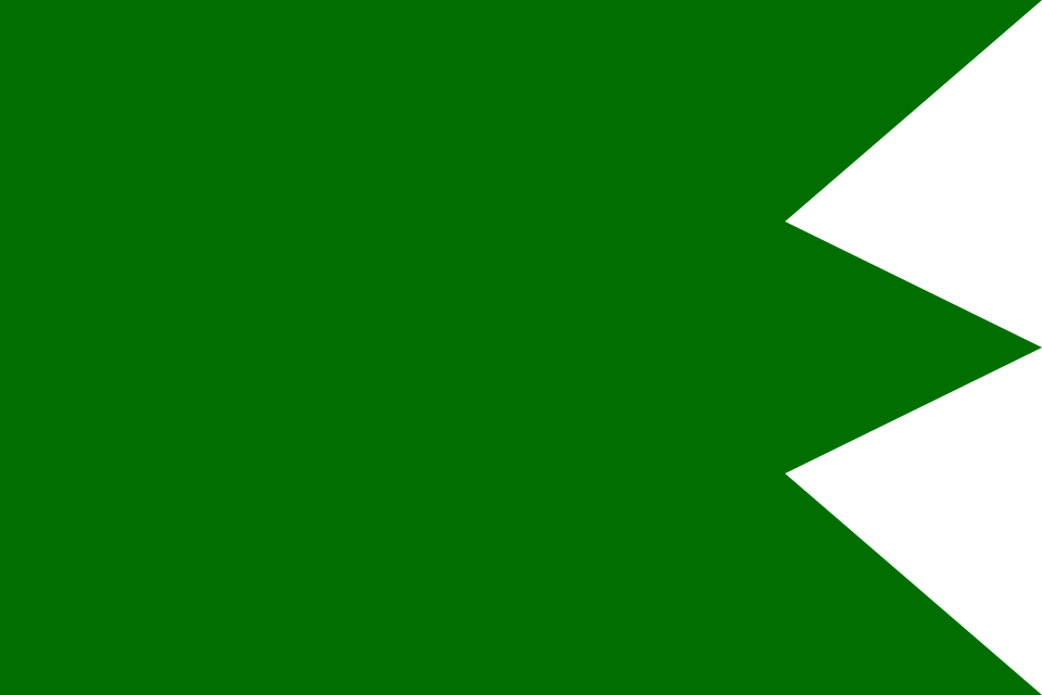 Fichier:Fatimid Flag (Tunis).svg