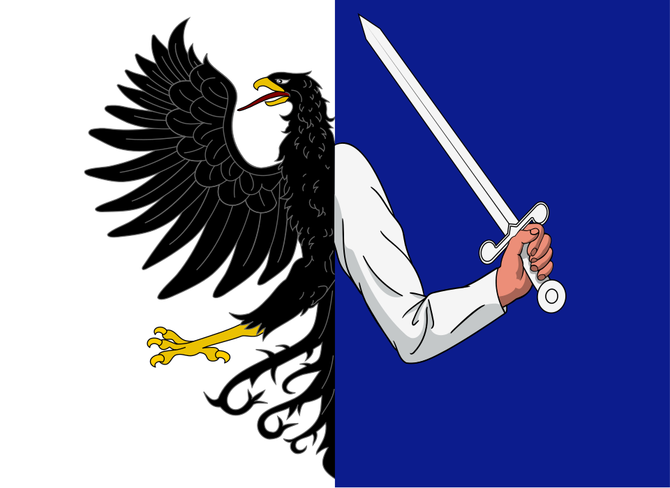 Fichier:Flag of Connacht.svg
